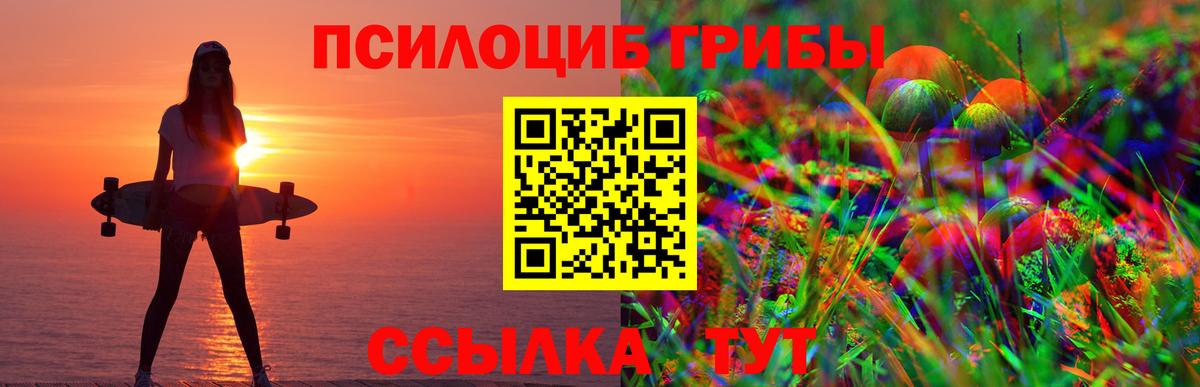 Псилоцибиновые грибы прущие грибы Аргун