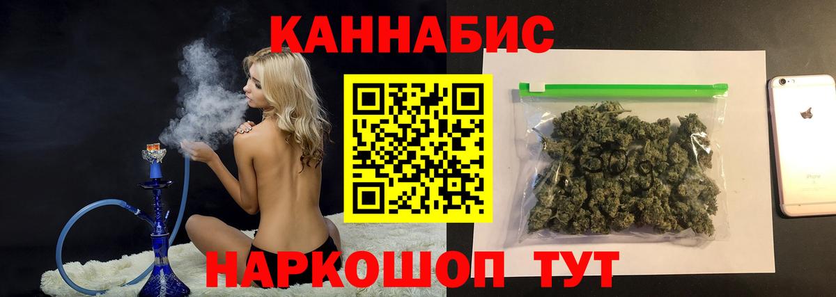 Аргун  МАРИХУАНА конопля  Бошки марихуана планчик  Марихуана конопля  Вход с VPN 